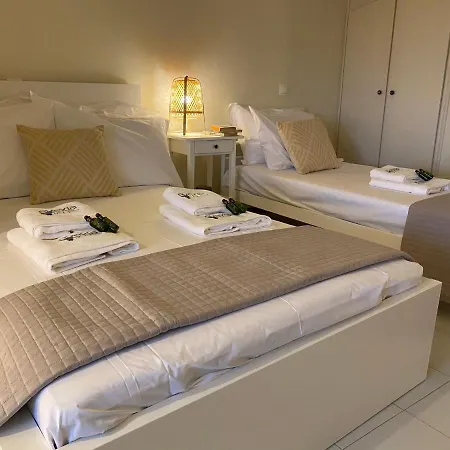 Eleonas By The Sea With Private Pool ヴィラ *