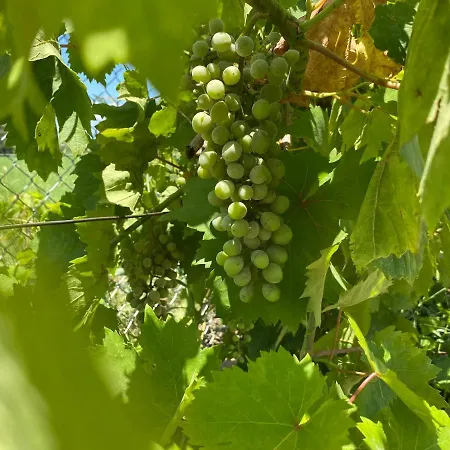 Eleonas By The Sea With Private Pool